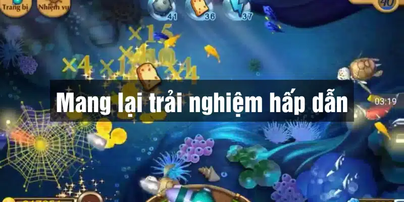 Đặt cược bắn cá với trải nghiệm hấp dẫn nhất