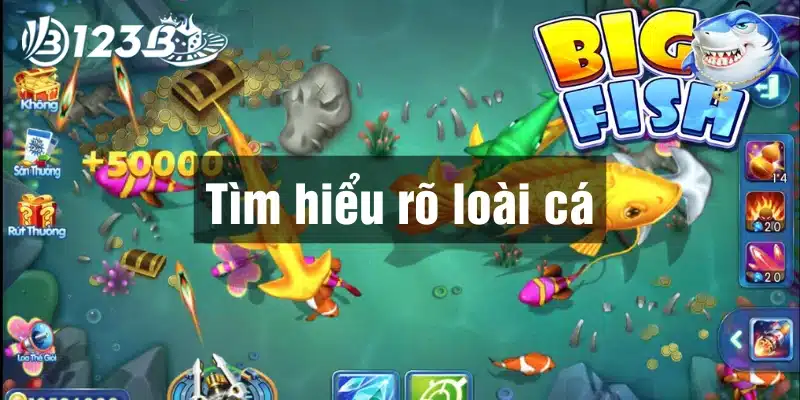 Tìm hiểu rõ từng loại cá bắn cá ăn tiền